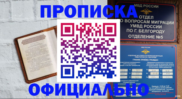 временная регистрация для школы в Лыткарино